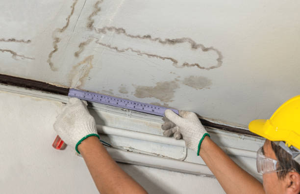 Reliable Water Damage Repair contractor in Lucerne, CO by Aqua Guard Water Damage